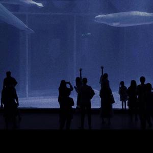 操大奶美女国产
